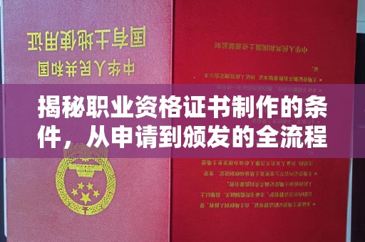 大寮揭秘职业资格证书制作的条件，从申请到颁发的全流程解析